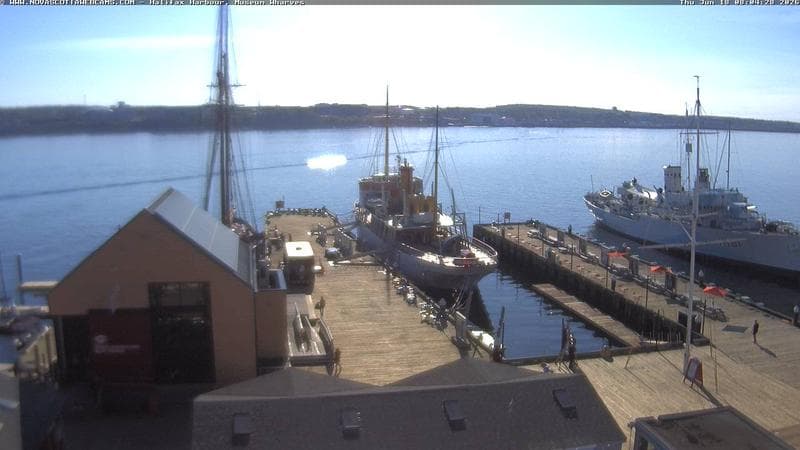 Museum Wharves