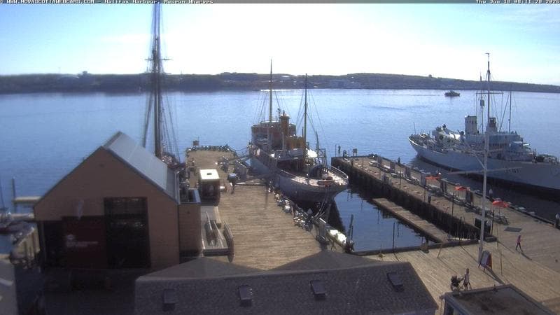 Museum Wharves