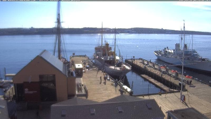 Museum Wharves
