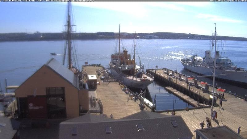 Museum Wharves