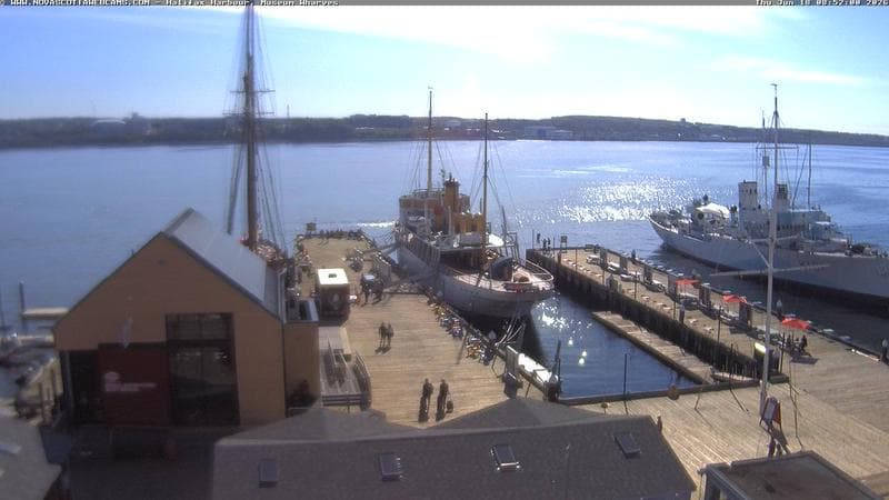 Museum Wharves