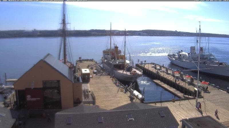 Museum Wharves