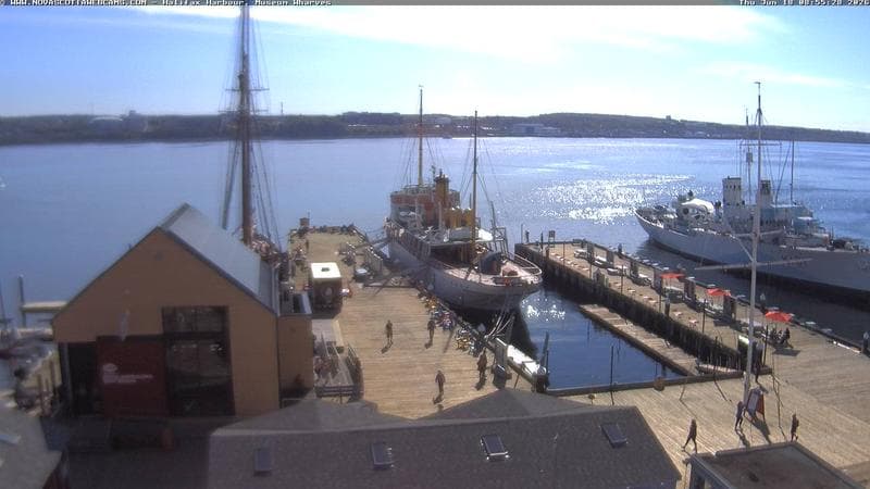 Museum Wharves