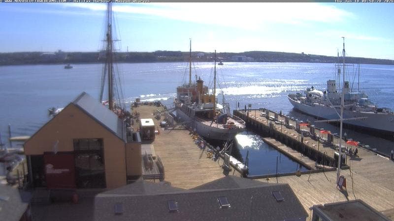 Museum Wharves