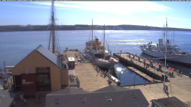 Museum Wharves