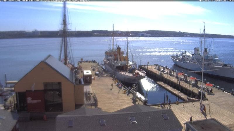 Museum Wharves