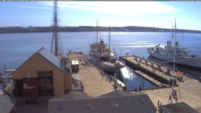 Museum Wharves