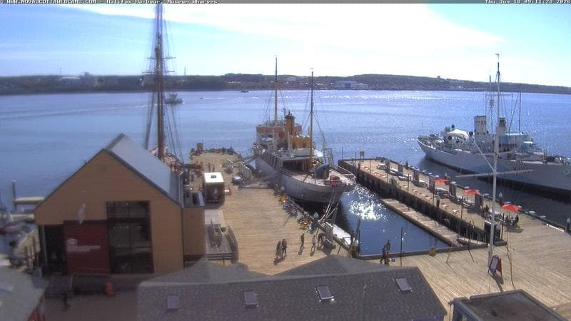 Museum Wharves