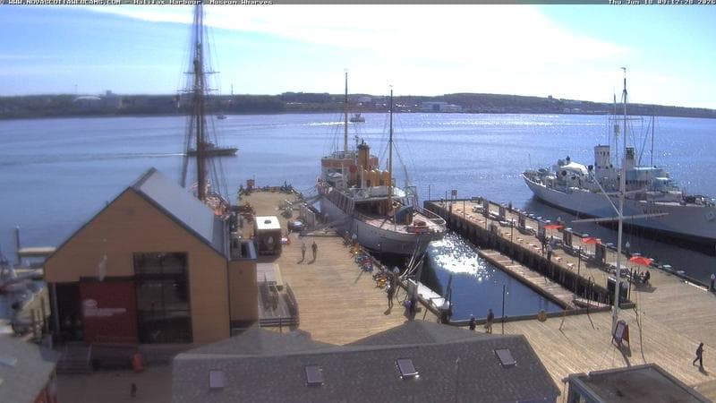 Museum Wharves