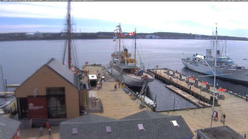 Museum Wharves