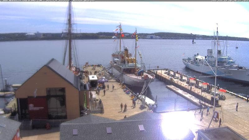 Museum Wharves