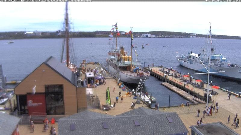 Museum Wharves
