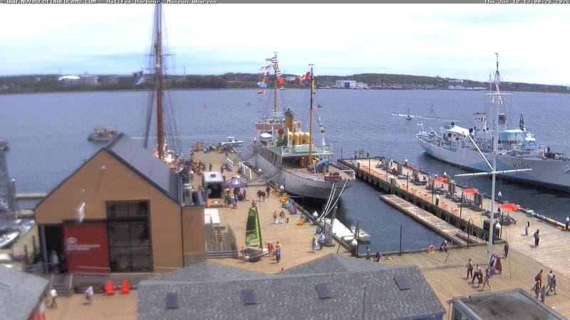 Museum Wharves