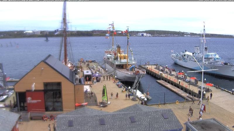 Museum Wharves