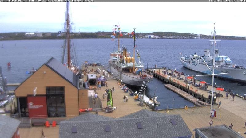 Museum Wharves