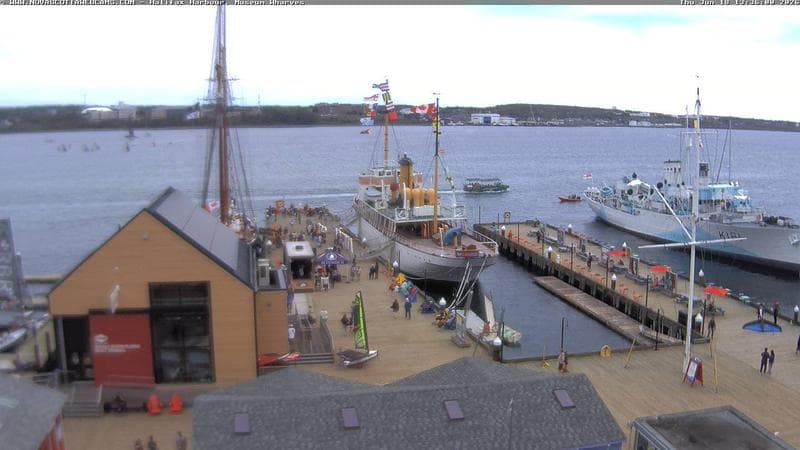 Museum Wharves