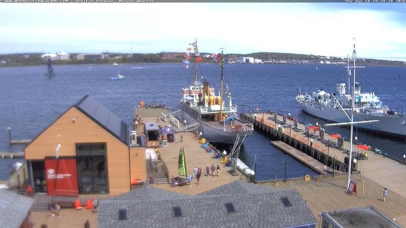 Museum Wharves