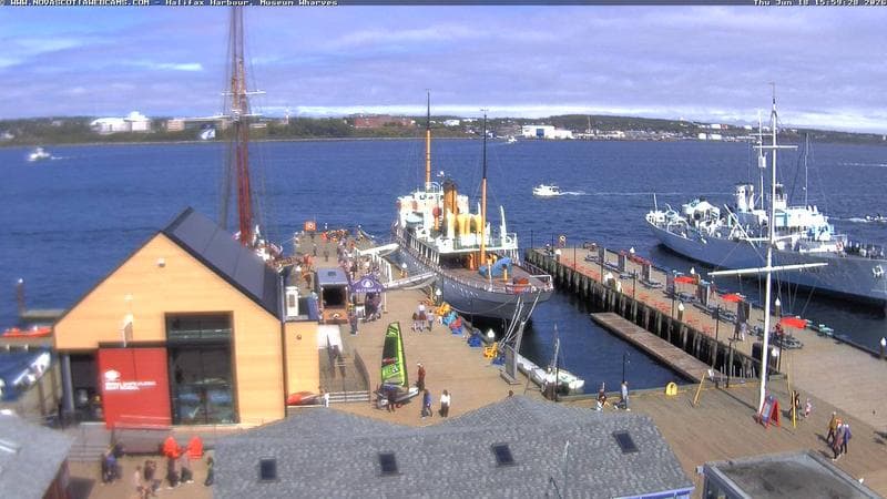 Museum Wharves