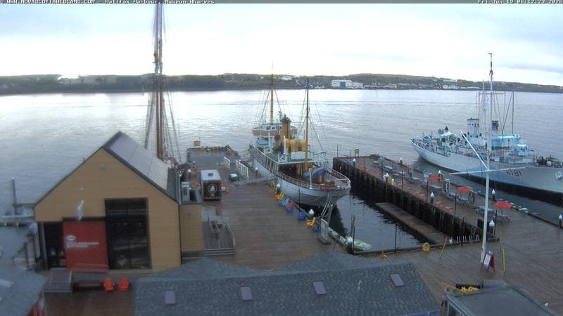 Museum Wharves