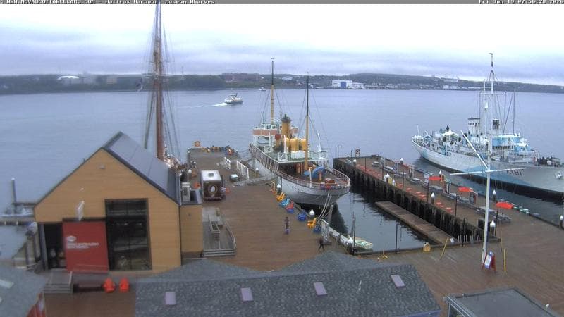 Museum Wharves