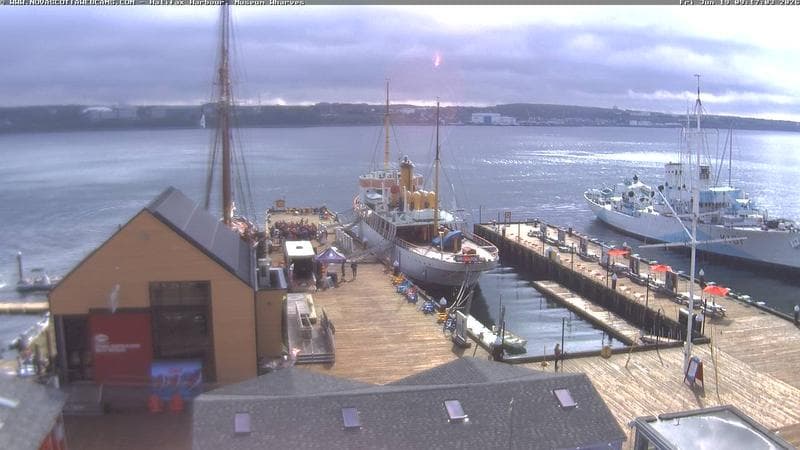 Museum Wharves