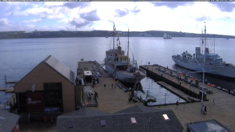 Museum Wharves