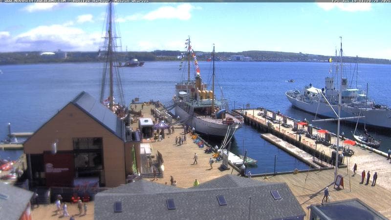 Museum Wharves