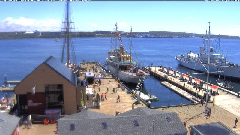 Museum Wharves
