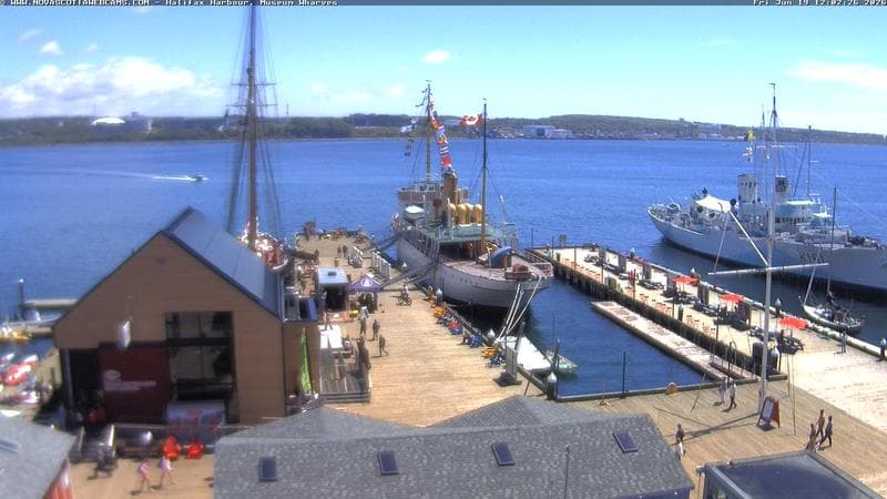Museum Wharves