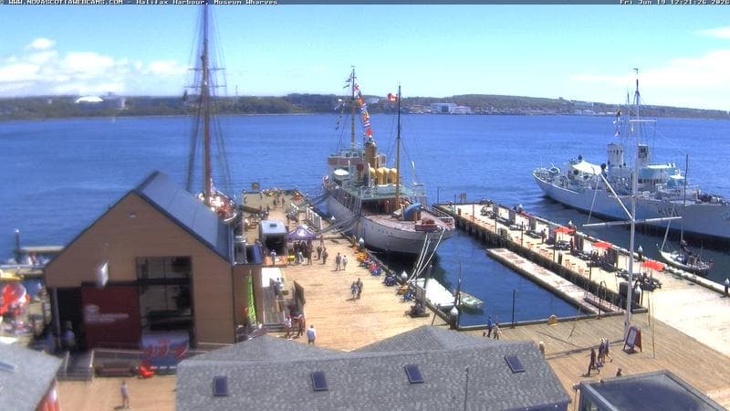 Museum Wharves