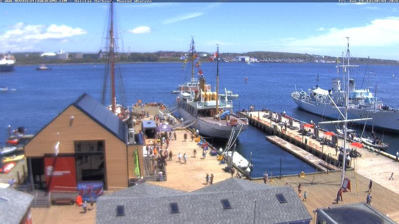 Museum Wharves