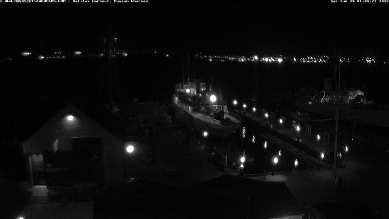 Museum Wharves