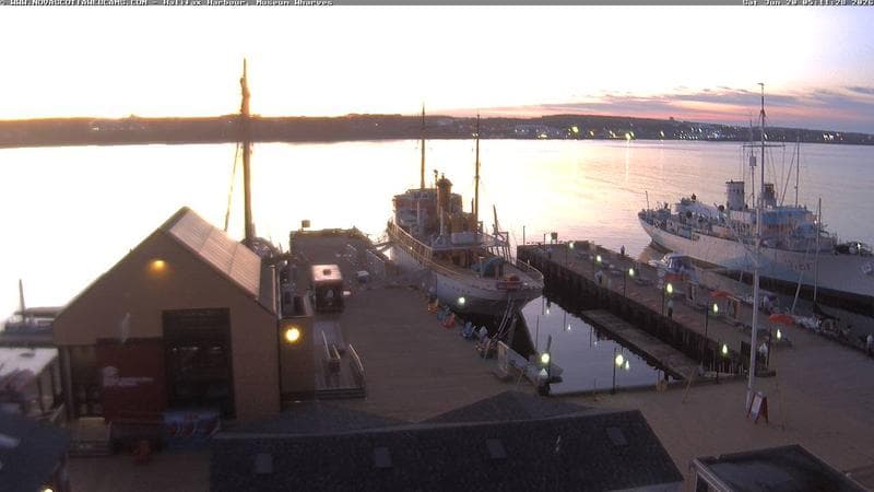 Museum Wharves