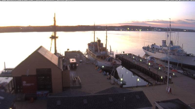 Museum Wharves