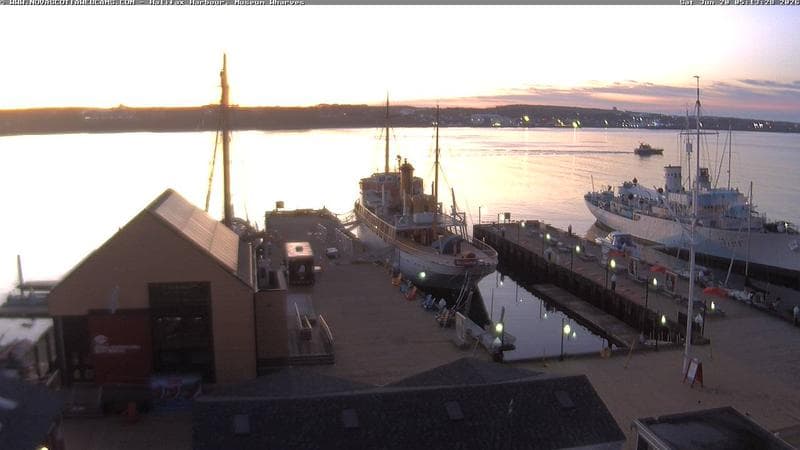 Museum Wharves