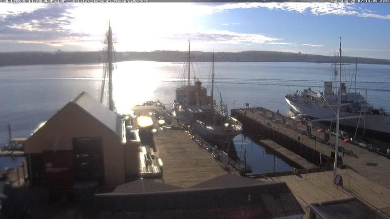 Museum Wharves