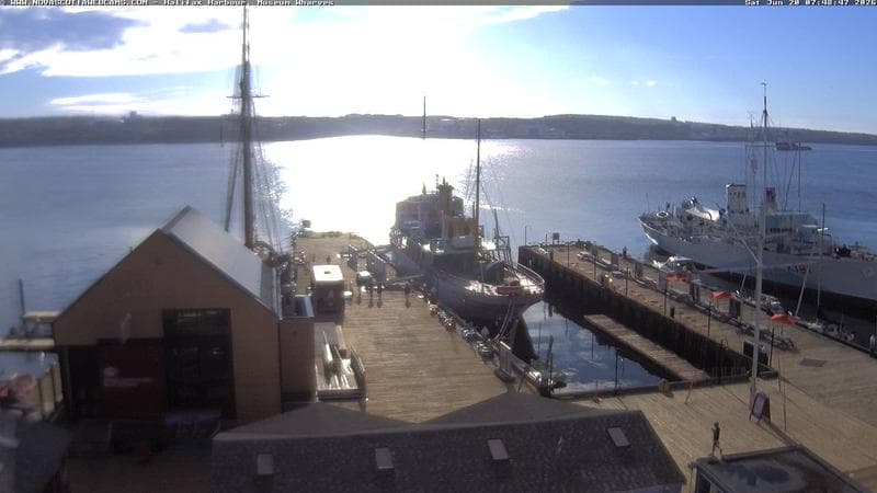 Museum Wharves