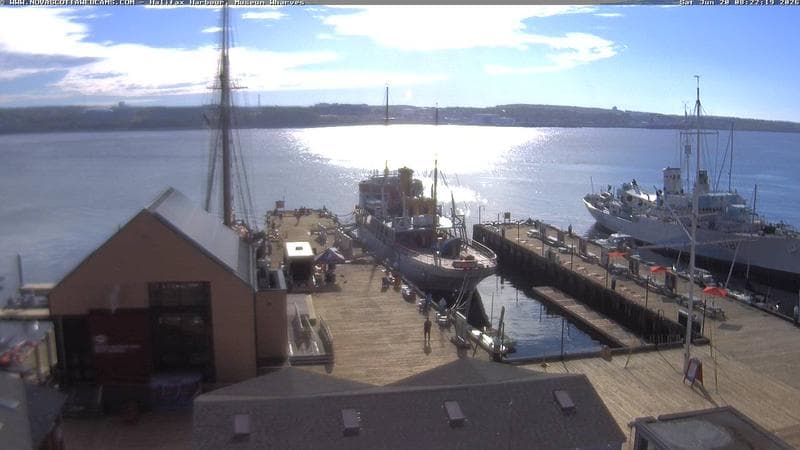 Museum Wharves
