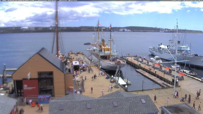 Museum Wharves