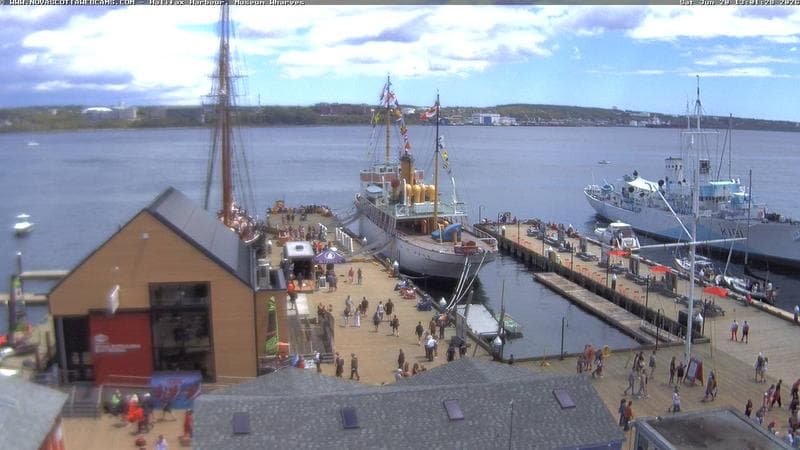 Museum Wharves