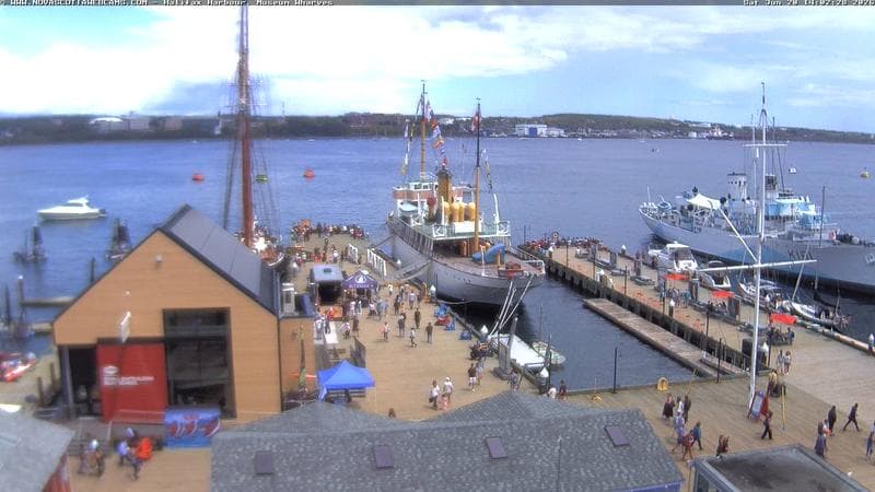 Museum Wharves