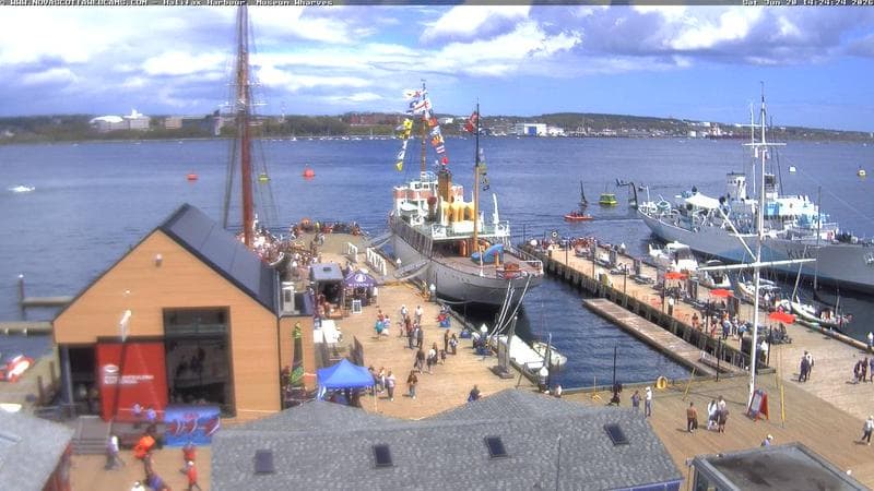 Museum Wharves