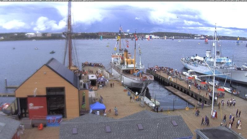 Museum Wharves