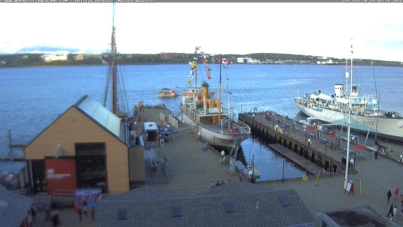 Museum Wharves