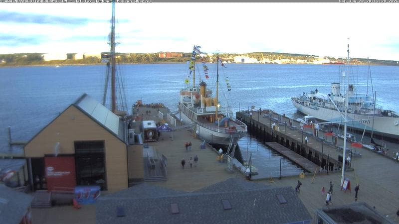 Museum Wharves