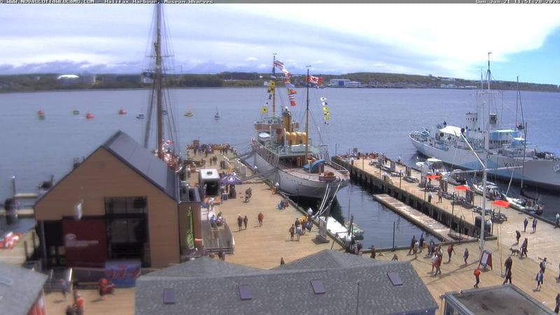 Museum Wharves