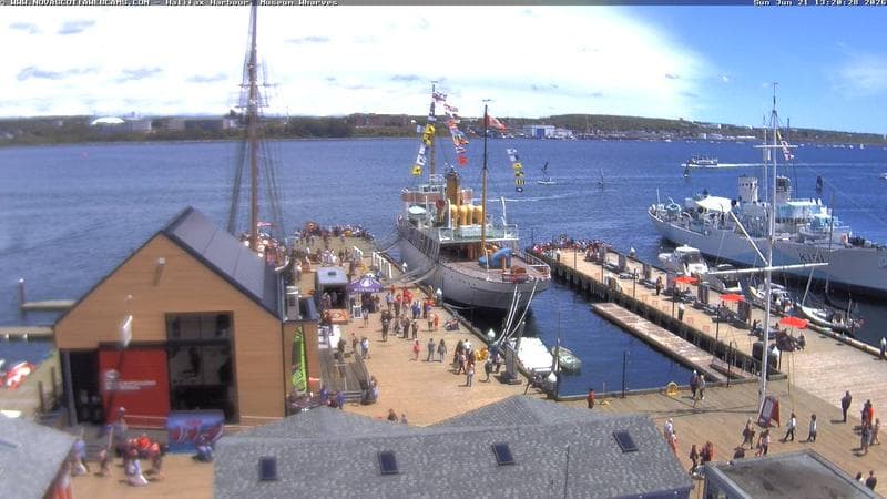 Museum Wharves