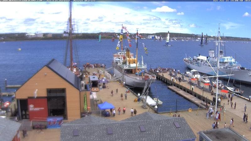 Museum Wharves