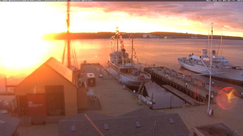 Museum Wharves