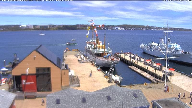 Museum Wharves